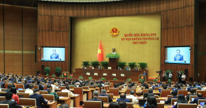 Kết quả kỳ họp không thường lệ thứ Nhất, Quốc hội Khóa XVI