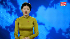 Ứng phó với quy định chống phá rừng của EU