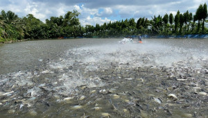 Chủ động ứng phó những diễn biến thời tiết bất lợi