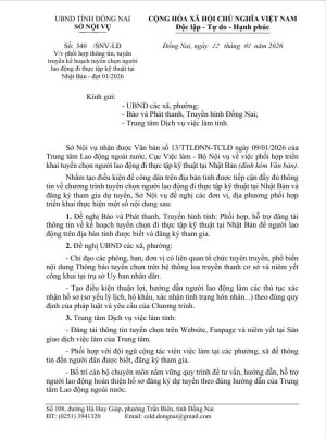 lao động nhật