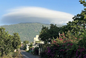 Hội thảo nhân rộng mô hình liên kết sản xuất gắn với tiêu thụ sản phẩm Cacao