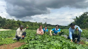 GƯƠNG HỘI VIÊN TIÊU BIỂU PHÁT TRIỂN KINH TẾ GIA ĐÌNH TỪ NGUỒN VỐN VAY NGÂN HÀNG CHÍNH SÁCH XÃ HỘI