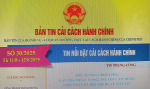 Bản tin Cải cách hành chính