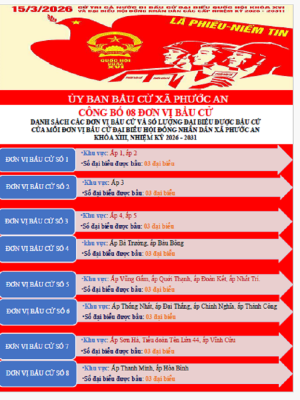Khu vực bầu cử