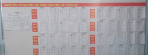 Niêm yết danh sách, tiểu sử 40 người ứng cử đại biểu HĐND xã Phước An khóa XIII, nhiệm kỳ 2026–2031