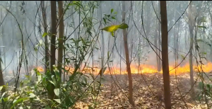 Tăng cường công tác phòng, chống cháy nổ trong mùa hanh khô