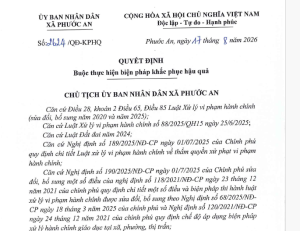 Quyết định cưỡng chế buộc thực hiện biện pháp khắc phục hậu quả (Quyết định số 2629/QĐ-CCXP)