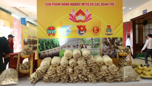 Không gian trưng bày chào mừng Đại hội đại biểu Mặt trận tổ...