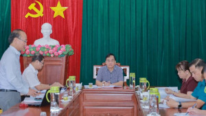 Họp thành viên Ủy ban nhân dân thường kỳ tháng 01 năm 2026