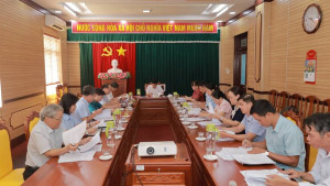 Họp Ban Chỉ đạo Đại hội Thể dục Thể thao phường Phước Bình lần thứ I năm 2026