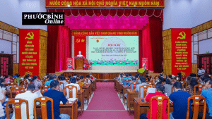 Thuế cơ sở 8 tỉnh Đồng Nai tập huấn nghị định 68/2026/NĐ-CP và thông tư 18/2026/TT-BTC