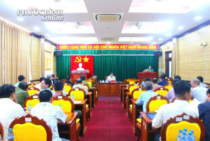Họp triển khai tổ chức lấy ý kiến nhân dân về đề án thành lập thành phố Đồng Nai trực thuộc Trung ương