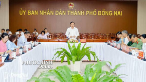 Họp thành viên UBND Thành phố Đồng Nai tháng 4