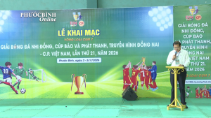 Khai mạc Vòng loại Giải Bóng đá nhi đồng cúp Báo và Phát thanh, Truyền hình Đồng Nai – C.P Việt Nam Lần thứ 21 Cụm thi đấu số 7