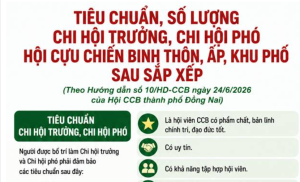 Quy định tiêu chuẩn, số lượng Chi hội trưởng, Chi hội phó Hội Cựu chiến binh, Quy trình kiện toàn tổ chức Hội Cựu chiến binh các khu phố sau sắp xếp