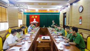 Thanh tra việc chấp hành các quy định của pháp luật về quản lý các ngành, nghề đầu tư kinh doanh có điều kiện về an ninh trật tự.