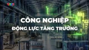 Đồng Nai mới - Tầm vóc mới