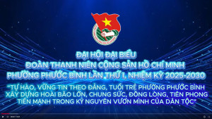 Đại hội Đại biểu Đoàn Thanh niên phường