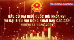 Quy trình bỏ phiếu bầu cử đại biểu Quốc hội và đại biểu HĐND các cấp nhiệm kỳ 2026 - 2031.