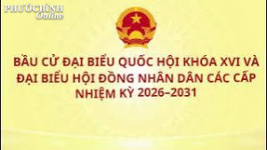 Hướng dẫn kiểm tra thông tin, thay đổi khu vực bỏ phiếu qua ứng dụng VNeID