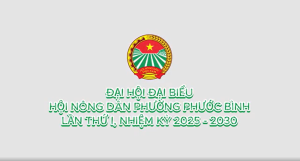 Đại hội Đại biểu Hội Nông dân phường