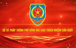 Phòng chống bạo lực gia đình, bình đẳng giới
