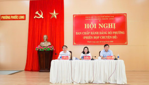 Phường Phước Long tổ chức Hội nghị Ban Chấp hành Đảng bộ phiên họp chuyên đề về sắp xếp khu phố và tổ chức đảng