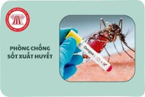 THÔNG ĐIỆP PHÒNG CHỐNG SỐT XUẤT HUYẾT