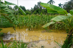 THÔNG TIN VỀ TÌNH HÌNH XẢ LŨ TẠI THỦY ĐIỆN ĐỒNG NAI 5 NGÀY...