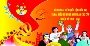 PANO BAU CU DAI BIEU QUOC HOI(1)