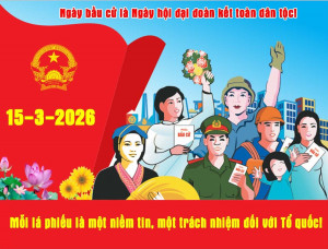 HƯỚNG DẪN QUY TRÌNH BỎ PHIẾU BẦU CỬ ĐẠI BIỂU QUỐC HỘI KHOÁ XVI VÀ ĐẠI BIỂU HỘI ĐỒNG NHÂN DÂN CÁC CẤP NHIỆM KỲ 2026-2031