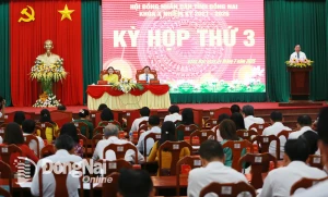 Phó bí thư Tỉnh ủy, Chủ tịch UBND tỉnh Đồng Nai Võ Tấn Đức phát biểu tại kỳ họp. Ảnh: Huy Anh