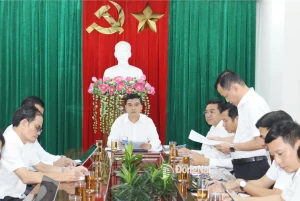 Tỉnh ủy viên, Phó Chủ tịch UBND tỉnh Đồng Nai Hồ Văn Hà chủ trì buổi làm việc. Ảnh: Hoàng Lộc