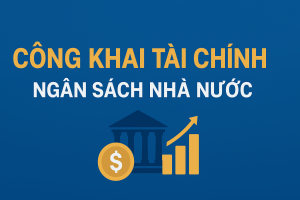 Paner cong khai tai chinh