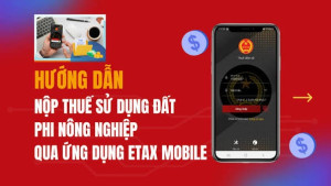 Hướng dẫn người dân nộp thuế sử dụng đất phi nông nghiệp qua...