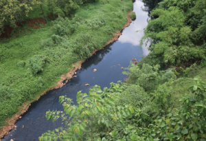Thông báo thu hồi đất để thực hiện dự án thoát nước dọc đường vành đai Suối Dên