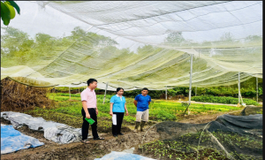 NHCSXH điều chỉnh giảm lãi suất tín dụng chính sách từ ngày 01/12/2025