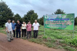 GẮN KẾT “3 NHÀ”, NÂNG CAO HIỆU QUẢ SẢN XUẤT NÔNG NGHIỆP HỮU CƠ