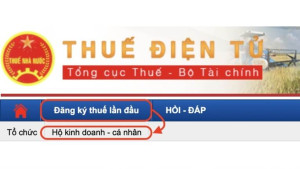 Cách ghi và nộp tờ khai đăng ký thuế mẫu số 03-ĐK-TCT online