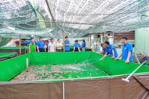 Đoàn xã Phú Riềng phối hợp Hội Nông dân xã tổ chức tham quan mô hình nuôi ếch bằng bạt