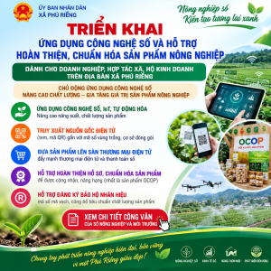 Hỗ trợ DN, HKD, HTX