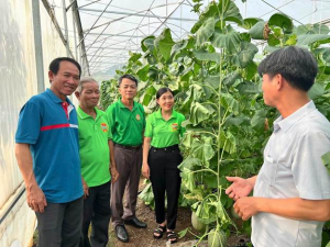 HỘI NÔNG DÂN XÃ PHÚ RIỀNG RA MẮT TỔ HỘI NGHỀ NGHIỆP “TRỒNG ĐIỀU HỮU CƠ THÔN PHÚ VINH”