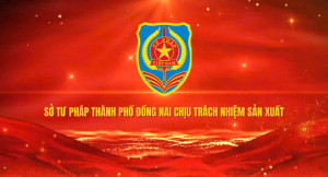 Phòng chống bạo lực gia đình, bình đẳng giới