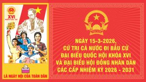 Hướng Dẫn Quy Trình Bỏ Phiếu Bầu Cử Đại Biểu Quốc Hội Và Đại Biểu HDND Các Cấp