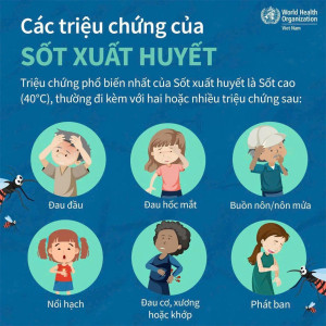 PHÒNG CHỐNG BỆNH SỐT XUẤT HUYẾT CHO BẢN THÂN VÀ GIA ĐÌNH BẠN