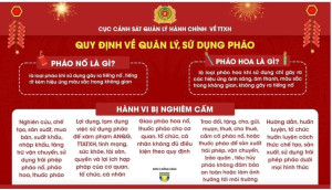 QUY ĐỊNH VỀ QUẢN LÝ, SỬ DỤNG PHÁO VÀ CÁC HÀNH VI BỊ NGHIÊM...