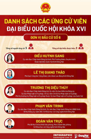 Tiểu sử tóm tắt các ứng cử viên  Đại biểu Quốc Hội khóa XVI