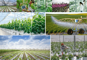 Phát triển khoa học công nghệ – Động lực then chốt cho nông nghiệp hiện đại và bền vững