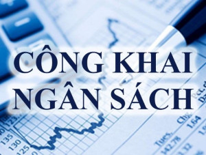 THÔNG BÁO Về việc công khai tình hình thực hiện dự toán ngân sách xã Phú Vinh Quý II năm 2026