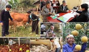 Phát huy Sức mạnh Văn hóa Thông tin Cơ sở: Chìa khóa Phát triển bền vững tại xã Phú Vinh, Đồng Nai